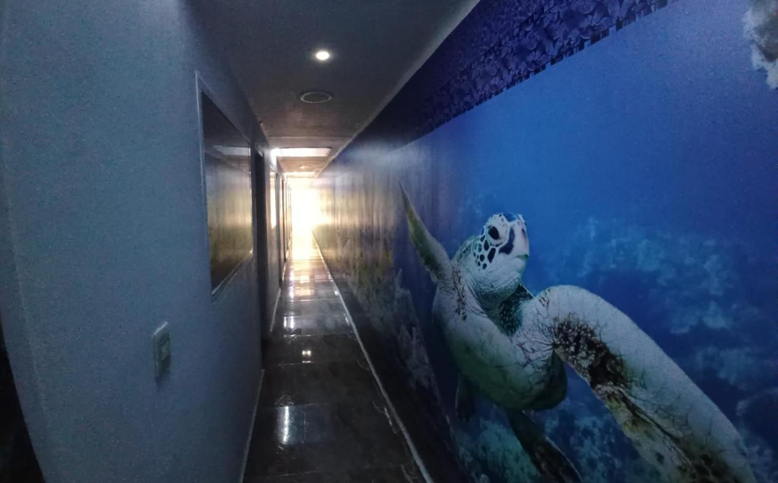 Dmauro Hotel