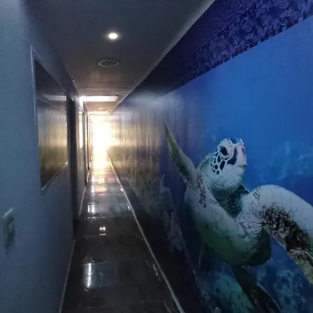 Dmauro Hotel